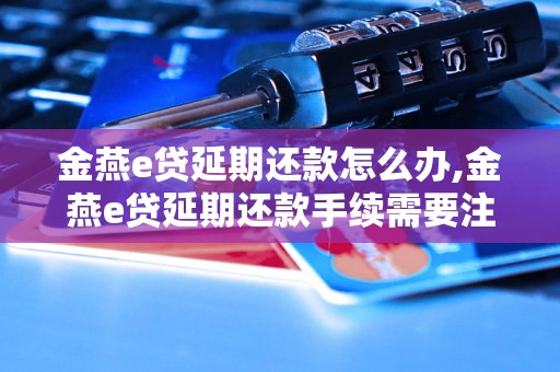 金燕e贷延期还款怎么办,金燕e贷延期还款手续需要注意什么