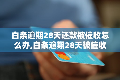 白条逾期28天还款被催收怎么办,白条逾期28天被催收应该怎么处理