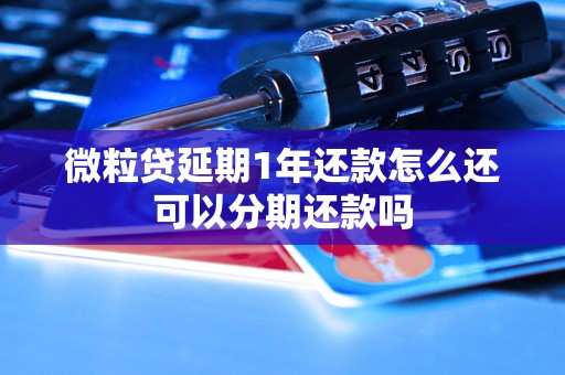 微粒贷延期1年还款怎么还可以分期还款吗