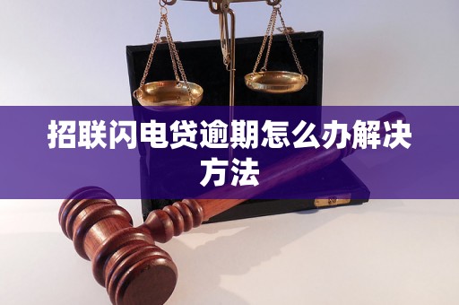 招联闪电贷逾期怎么办解决方法