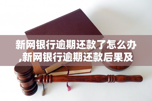 新网银行逾期还款了怎么办,新网银行逾期还款后果及解决方法