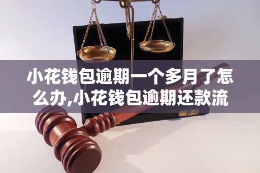 小花钱包逾期一个多月了怎么办,小花钱包逾期还款流程解析