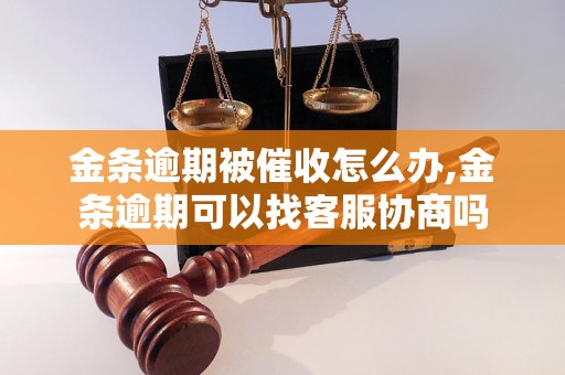 金条逾期被催收怎么办,金条逾期可以找客服协商吗