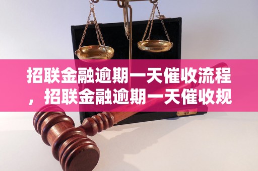 招联金融逾期一天催收流程，招联金融逾期一天催收规定