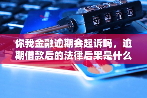 你我金融逾期会起诉吗，逾期借款后的法律后果是什么