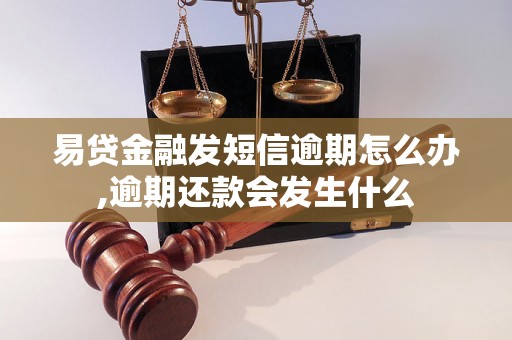 易贷金融发短信逾期怎么办,逾期还款会发生什么