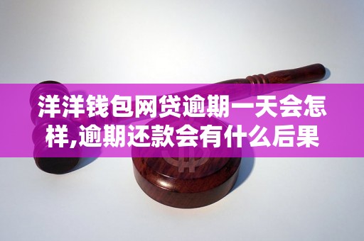 洋洋钱包网贷逾期一天会怎样,逾期还款会有什么后果