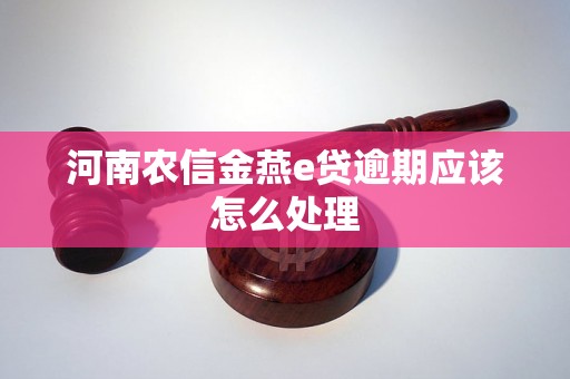 河南农信金燕e贷逾期应该怎么处理