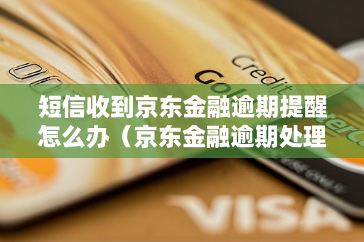 短信收到京东金融逾期提醒怎么办（京东金融逾期处理方法）