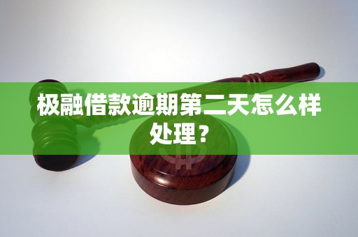 极融借款逾期第二天怎么样处理？