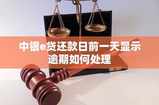 中银e贷还款日前一天显示逾期如何处理