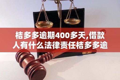 桔多多逾期400多天,借款人有什么法律责任桔多多逾期借款如何处理