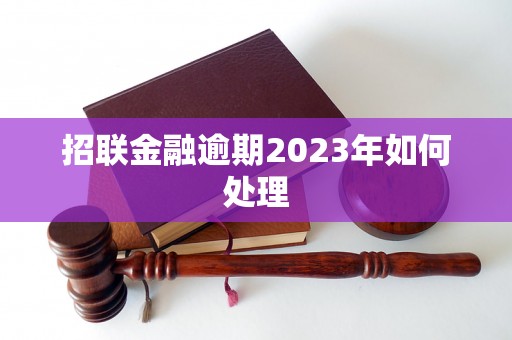 招联金融逾期2023年如何处理