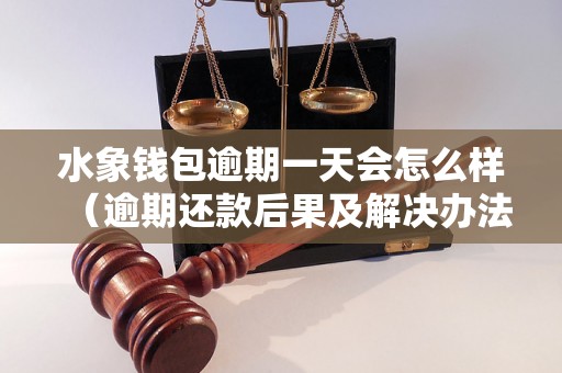 水象钱包逾期一天会怎么样（逾期还款后果及解决办法）