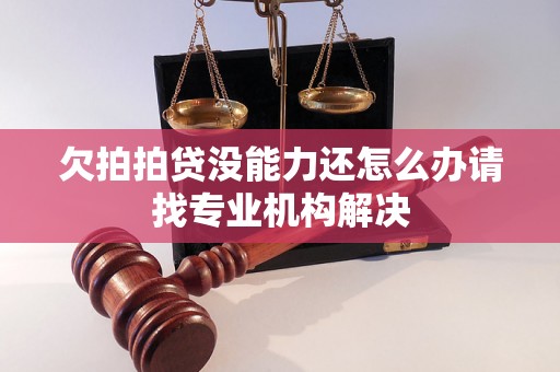 欠拍拍贷没能力还怎么办请找专业机构解决