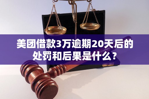 美团借款3万逾期20天后的处罚和后果是什么？