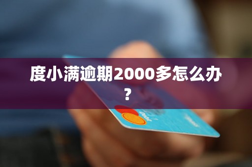 度小满逾期2000多怎么办？