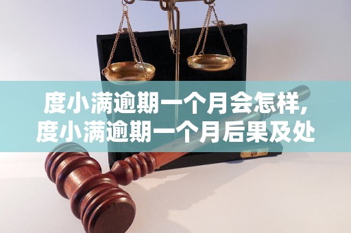 度小满逾期一个月会怎样,度小满逾期一个月后果及处理方法