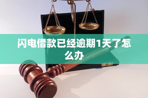 闪电借款已经逾期1天了怎么办