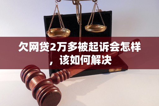 欠网贷2万多被起诉会怎样，该如何解决