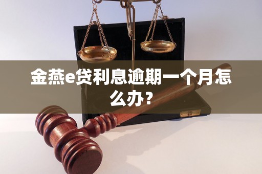 金燕e贷利息逾期一个月怎么办？