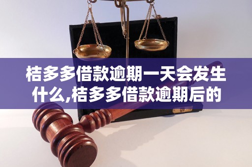 桔多多借款逾期一天会发生什么,桔多多借款逾期后的处理措施