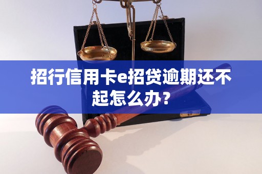 招行信用卡e招贷逾期还不起怎么办？