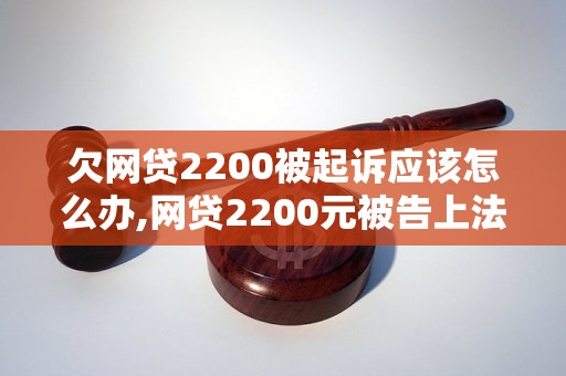 欠网贷2200被起诉应该怎么办,网贷2200元被告上法庭该如何应对