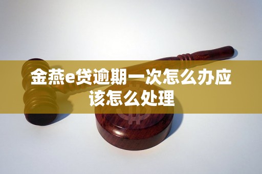 金燕e贷逾期一次怎么办应该怎么处理