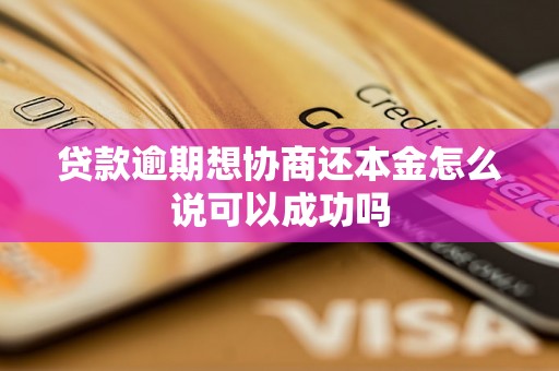 贷款逾期想协商还本金怎么说可以成功吗