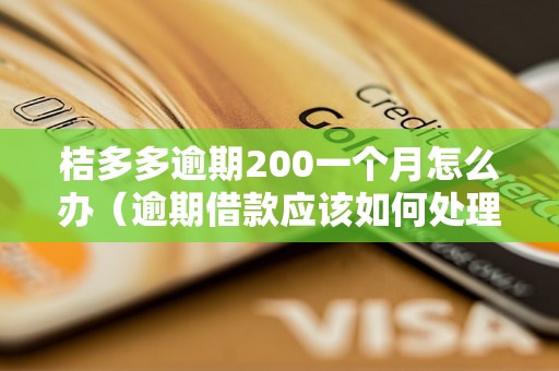 桔多多逾期200一个月怎么办（逾期借款应该如何处理）