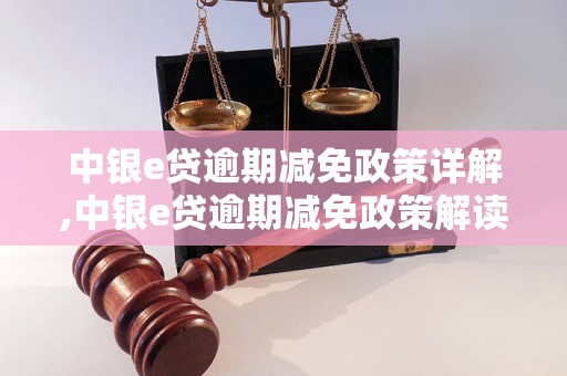 中银e贷逾期减免政策详解,中银e贷逾期减免政策解读