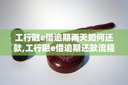 工行融e借逾期两天如何还款,工行融e借逾期还款流程详解