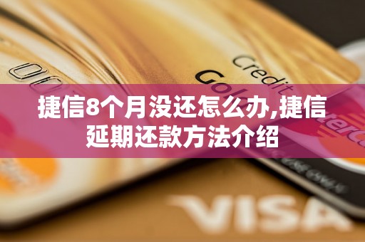 捷信8个月没还怎么办,捷信延期还款方法介绍