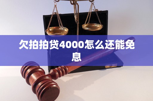 欠拍拍贷4000怎么还能免息