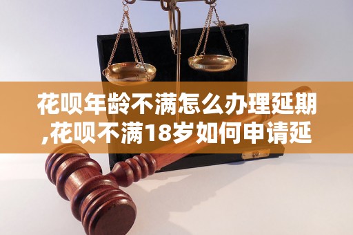 花呗年龄不满怎么办理延期,花呗不满18岁如何申请延期办理