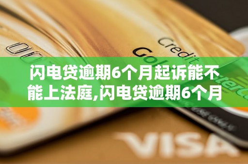 闪电贷逾期6个月起诉能不能上法庭,闪电贷逾期6个月后会发生什么