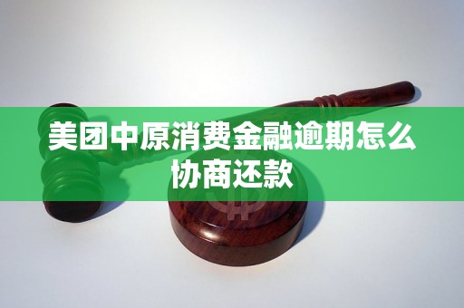 美团中原消费金融逾期怎么协商还款