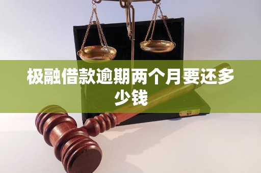 极融借款逾期两个月要还多少钱