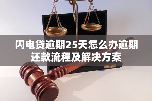 闪电贷逾期25天怎么办逾期还款流程及解决方案