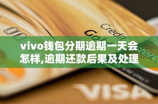 vivo钱包分期逾期一天会怎样,逾期还款后果及处理办法