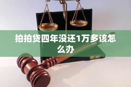 拍拍贷四年没还1万多该怎么办