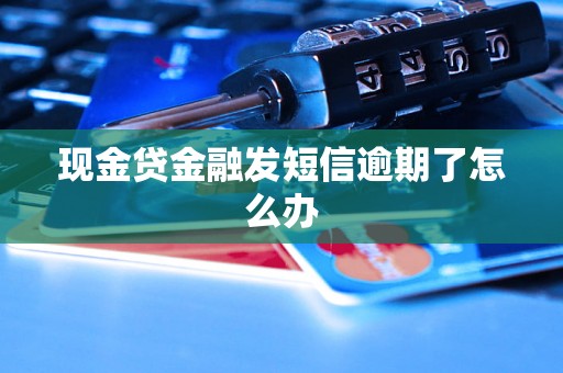 现金贷金融发短信逾期了怎么办