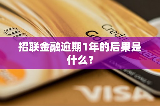 招联金融逾期1年的后果是什么？