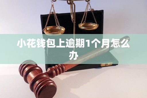 小花钱包上逾期1个月怎么办