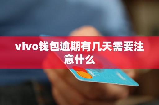 vivo钱包逾期有几天需要注意什么