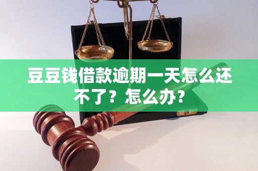 豆豆钱借款逾期一天怎么还不了？怎么办？