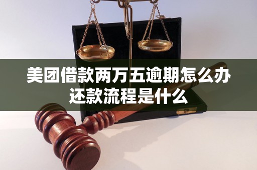 美团借款两万五逾期怎么办还款流程是什么