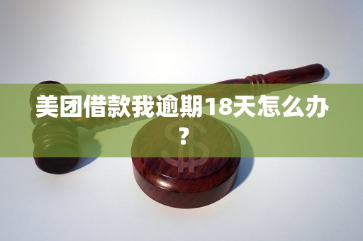 美团借款我逾期18天怎么办？