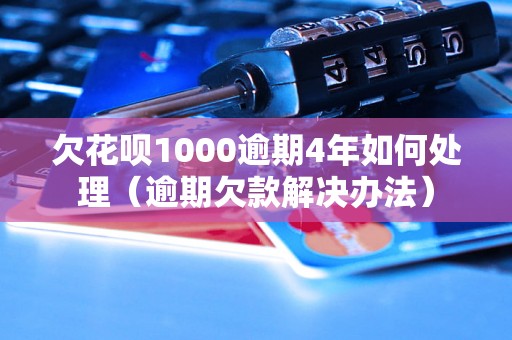 欠花呗1000逾期4年如何处理（逾期欠款解决办法）